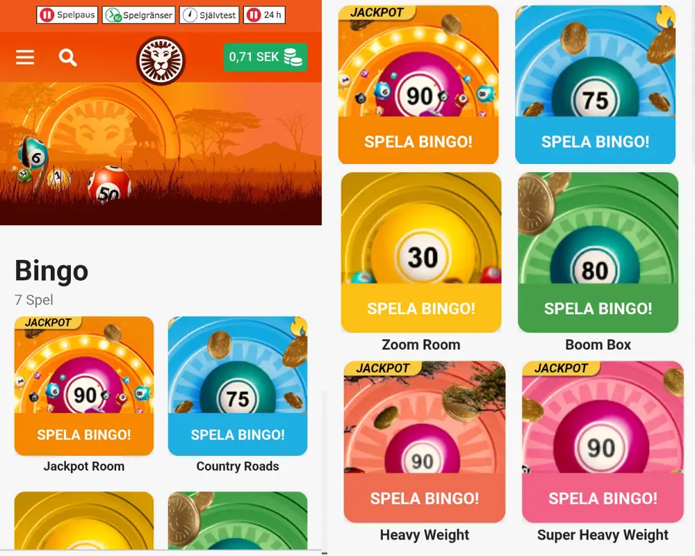Bingo hos LeoVegas