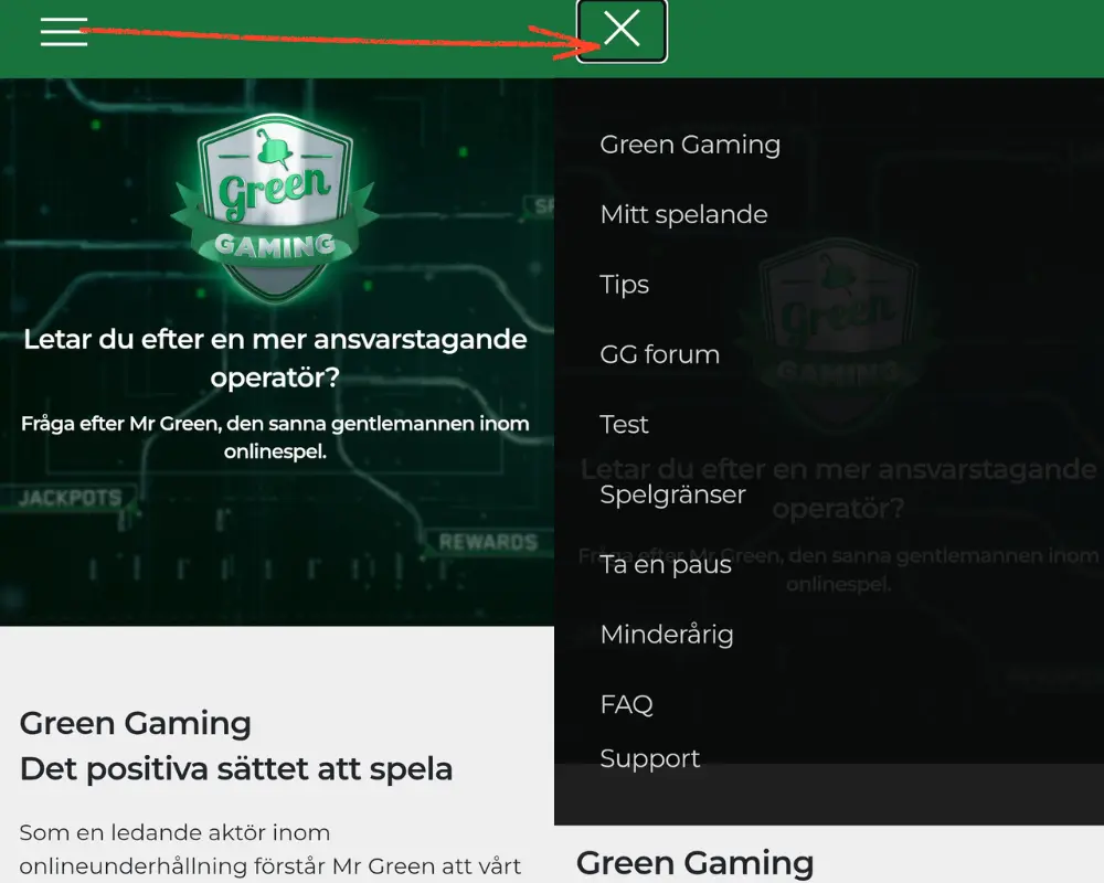 Information och råd om ansvarsfullt spelande hos Mr Green.