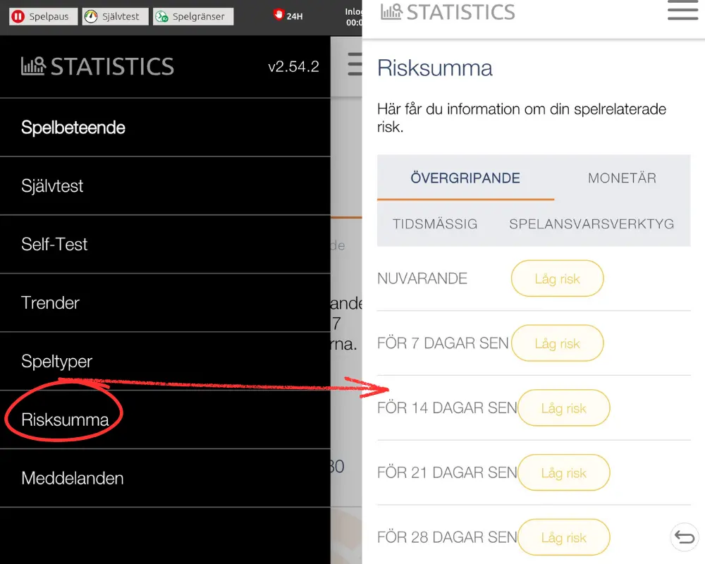 SkillOnNets spelcheck: risksumma.