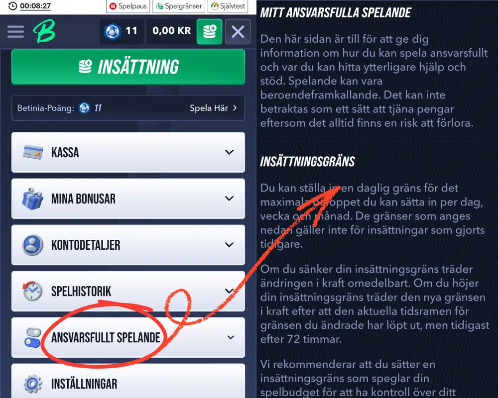 Betinias sektion för ansvarsfullt spelande.