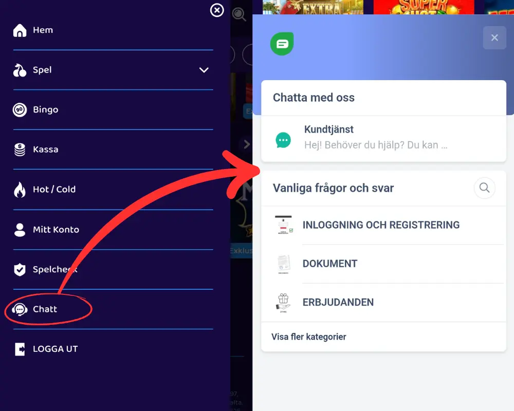 Kundtjänst och livechatt hos Winlandia.