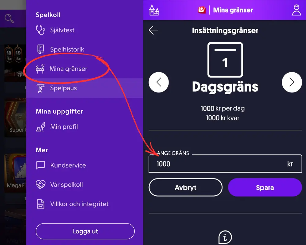 Spelargränser hos Momang Casino