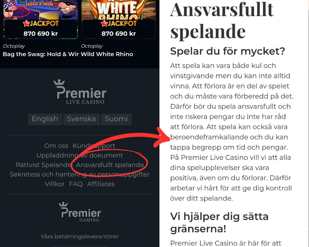Information om ansvarsfullt spelande hos Premier Live Casino.