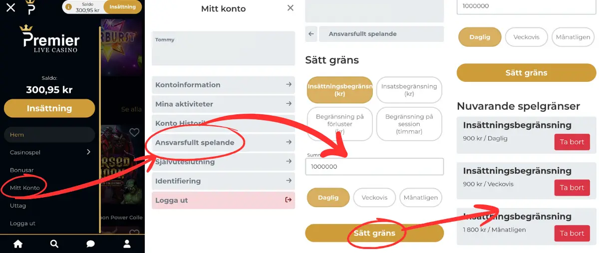Hur du hittar verktyg för ansvarsfullt spelande hos Premier Live Casino