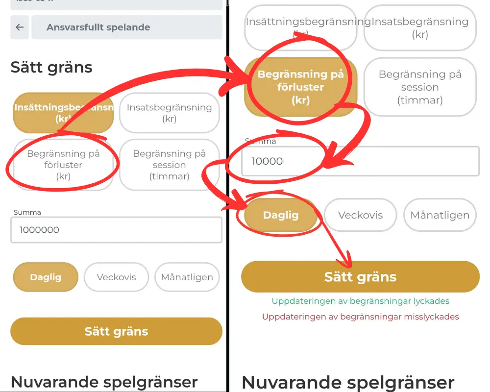 Spelargränser hos Premier Live Casino.