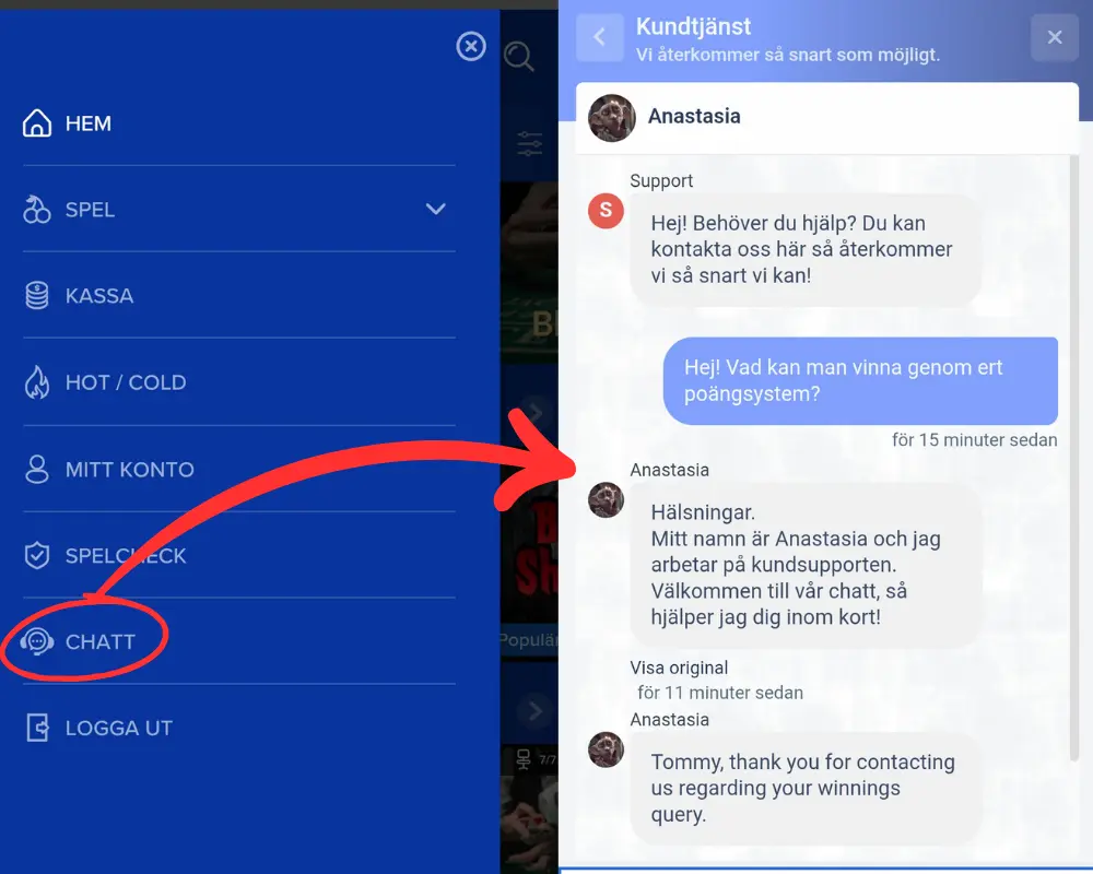 Vart du hittar livechatten hos Ahti Games.
