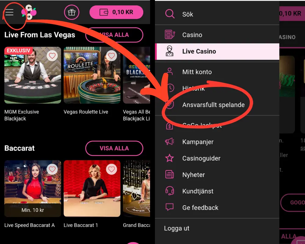 Ansvarsfullt spelande finns i menyn hos GoGoCasino