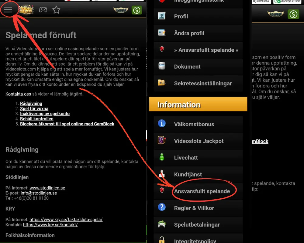 Ansvarsfullt spelande hos Videoslots