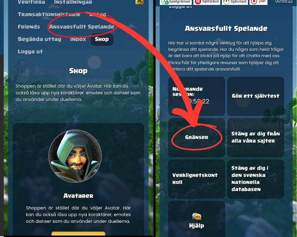 Hur du ställer in gränser hos Duelz: gå först till ditt konto och ansvarsfullt spelande.