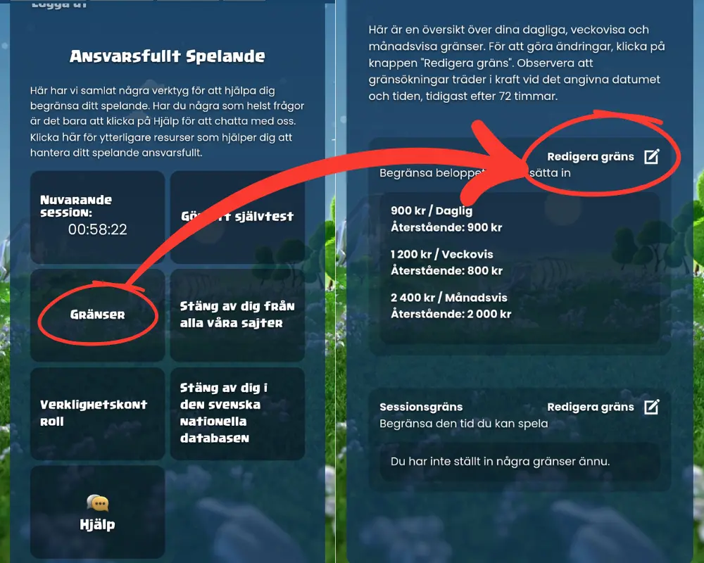 Hur du ställer in gränser hos Duelz: klicka på gränser och därefter ändra gränser.
