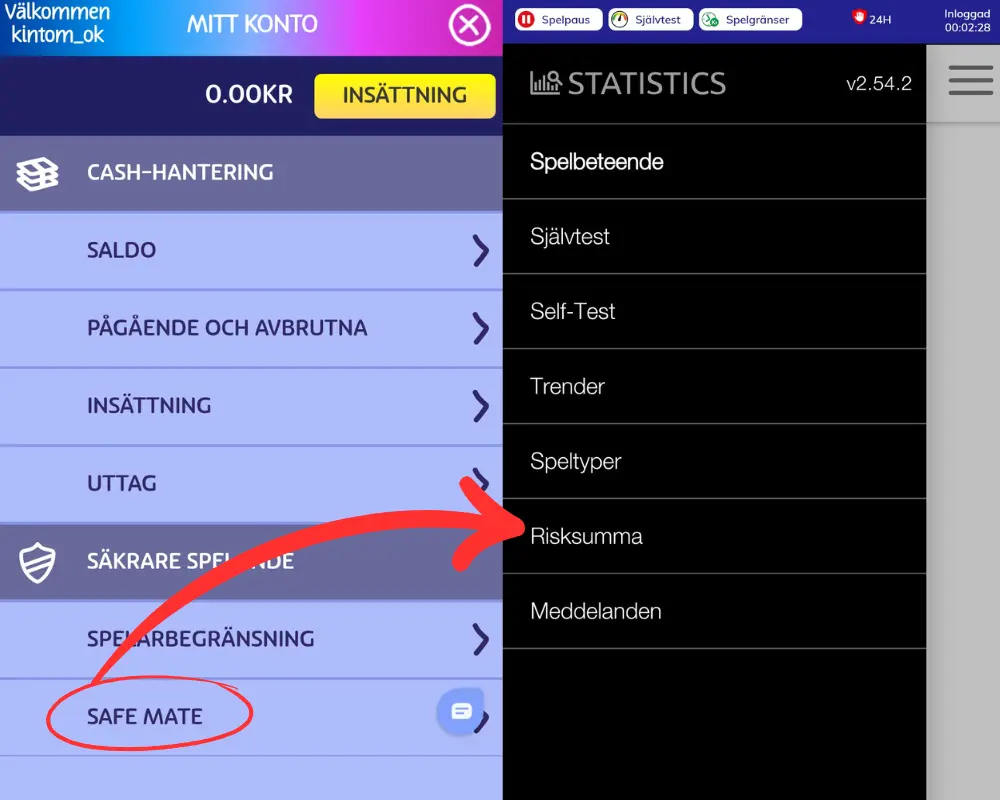 Safemate eller spelcheck: spelbeteende och statistik hos samtliga SkillOnNet-casinon.