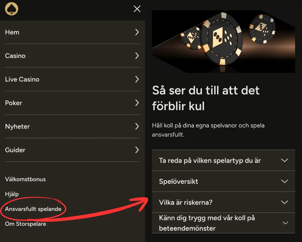 Ansvarsfullt spelande hos Storspelare