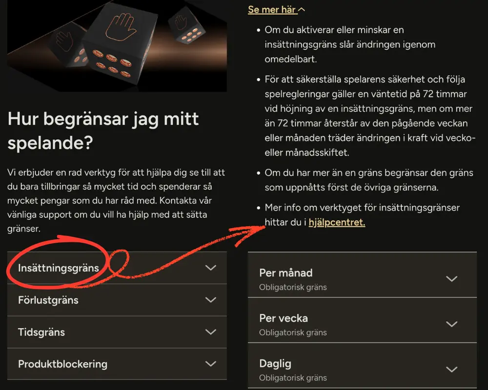 Verktyg för ansvarsfullt spelande hos Storspelare: insättningsgränser