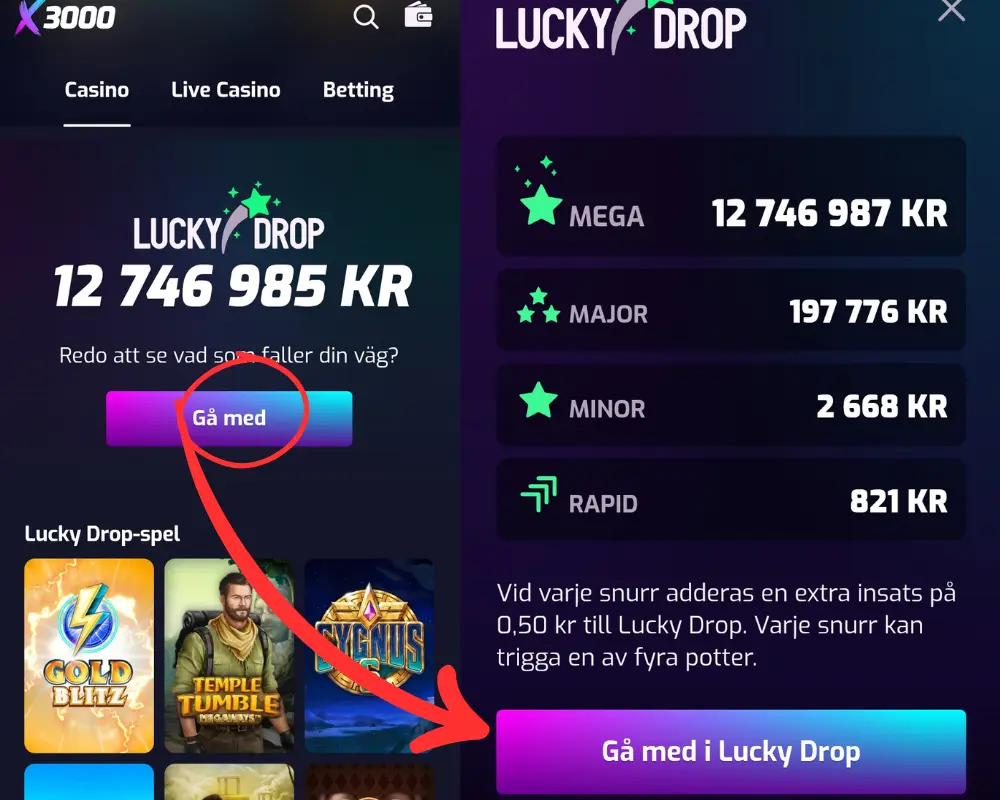 Här fyller vi i att vi vill delta i X3000:s Lucky Drop.