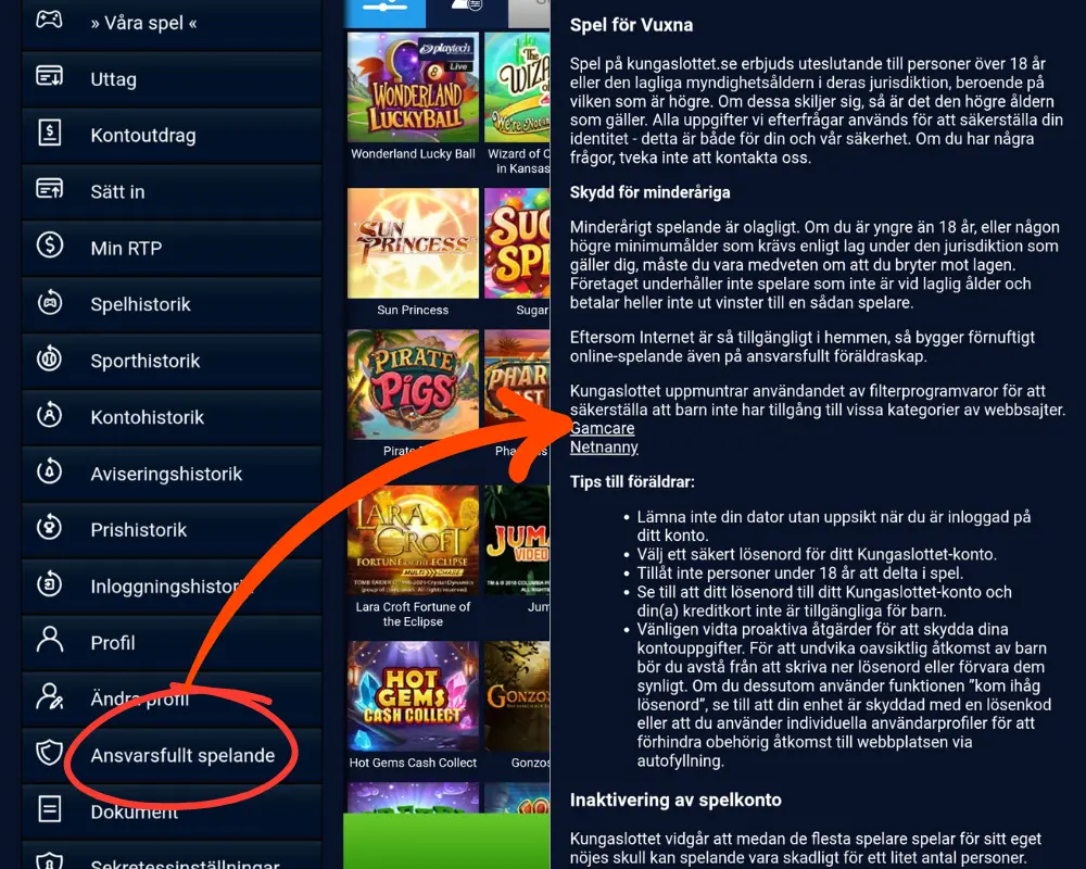 Information om ansvarsfullt spelande hos Kungaslottet