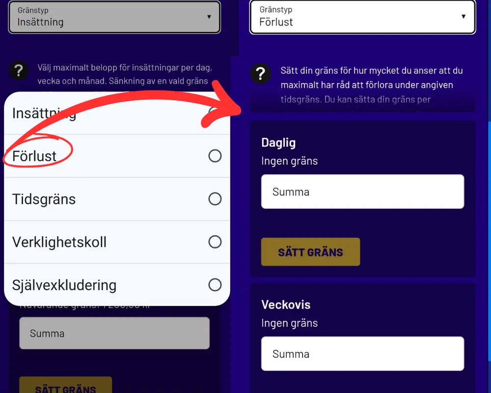 Förlustgränser hos Spelklubben.