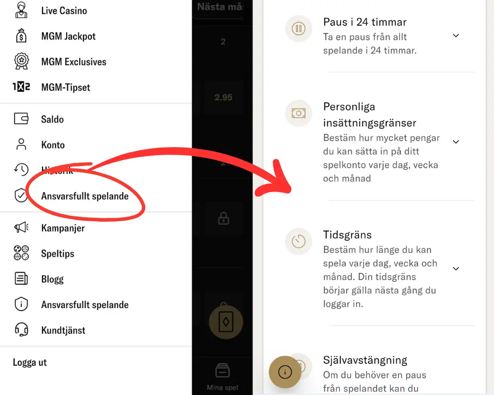 BetMGM och ansvarsfullt spelande