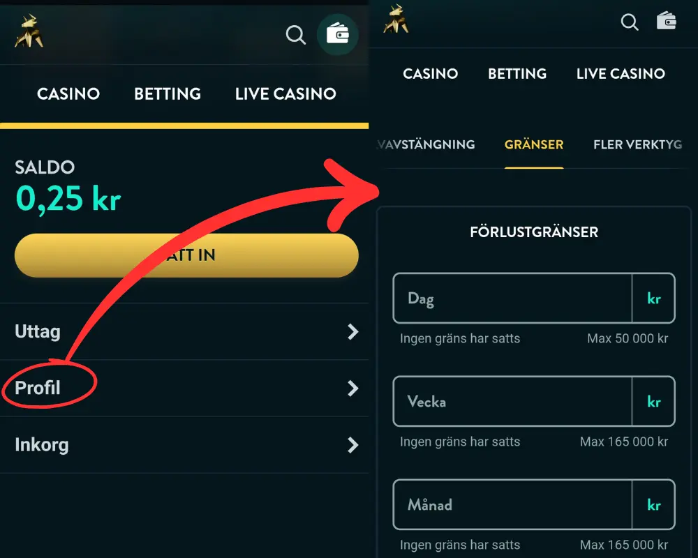 Verktyg för ansvarsfullt spelande hos Golden Bull.