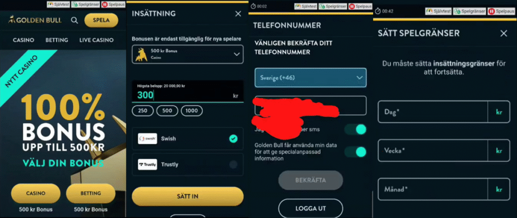Vår registrering hos Golden Bull från 2024.