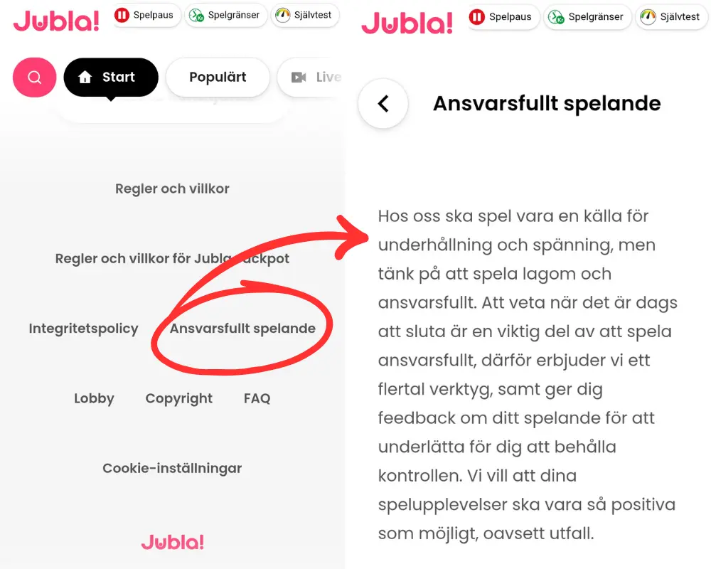 Information om ansvarsfullt spelande hos Jubla.