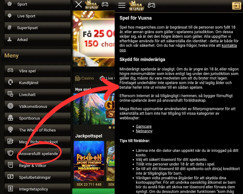 Information om ansvarsfullt spelande hos Mega Riches.