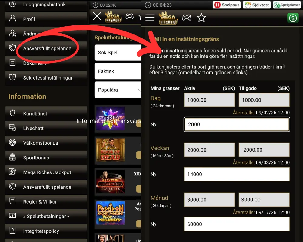 Självtest och spelgränser hos Mega Riches.