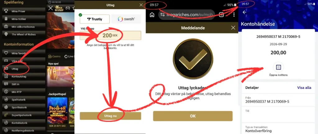 Ett uttagstest från Mega Riches via Trustly (2026)