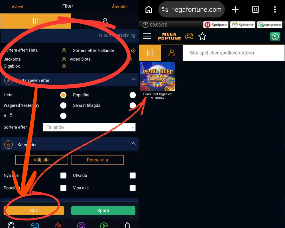 Hur du använder Mega Fortunes sökfilter.