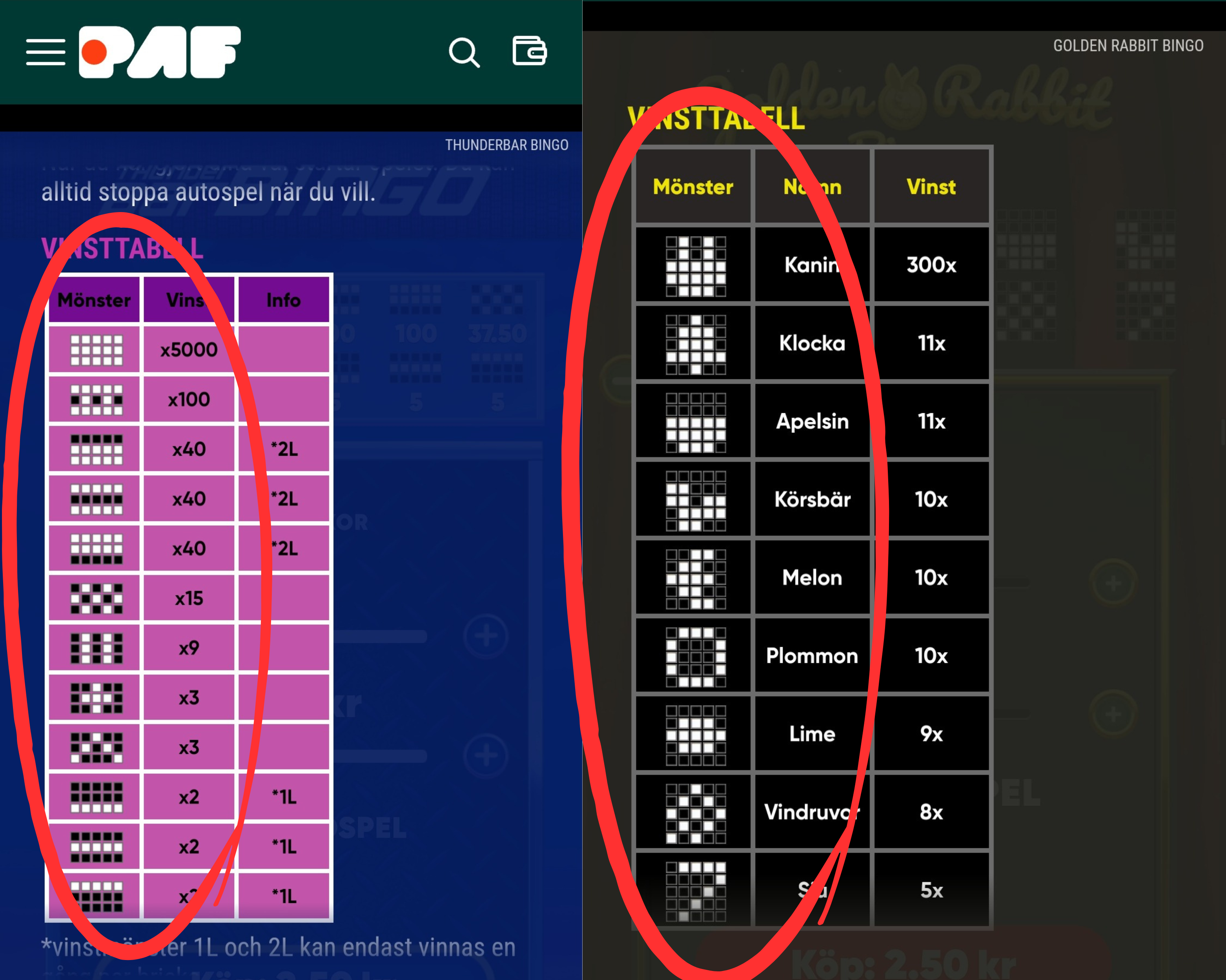 Vinstlinjerna i pafs singelbingo-spel