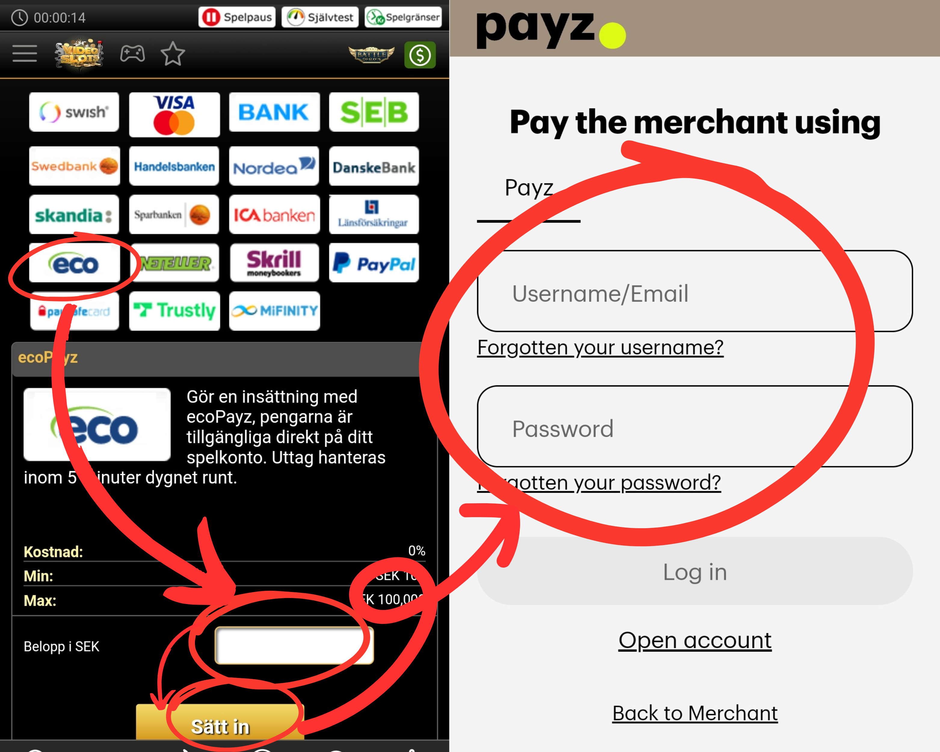 Att göra en insättning med Payz