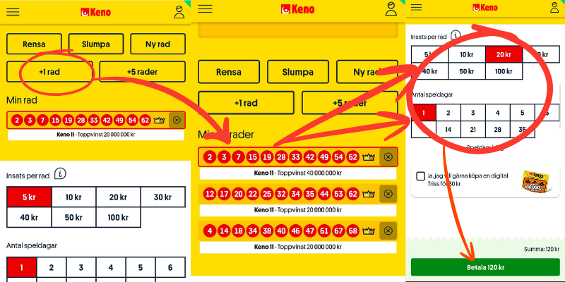 Keno: välj antal rader, insats per rad och antal speldagar