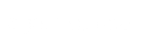 Agent Spinner