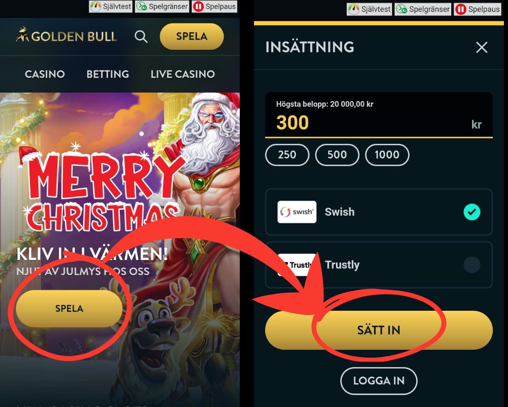 Välj den summa du vill sätta in på casinot och gå vidare.