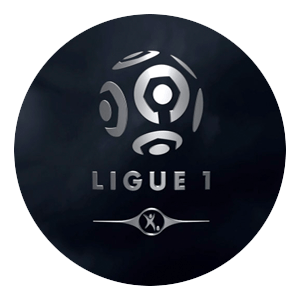 Ligue 1 franska ligan