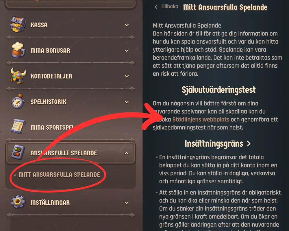 Lodur Casino och ansvarsfullt spelande