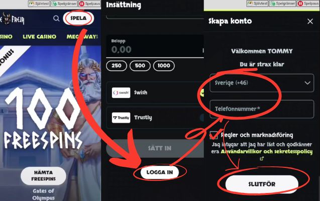 Hur man registrerar sig hos LokeFreja