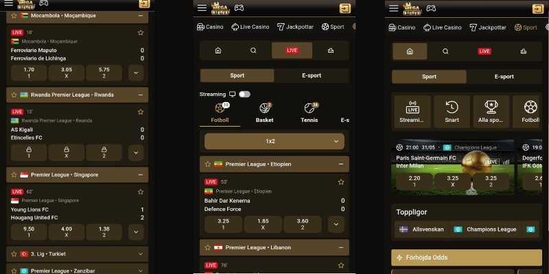 Mega Riches sportsbook