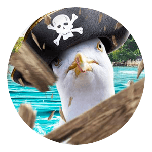 Piratespin - Skepp ohoj!