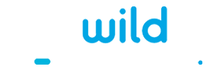 Wild Tornado Casino