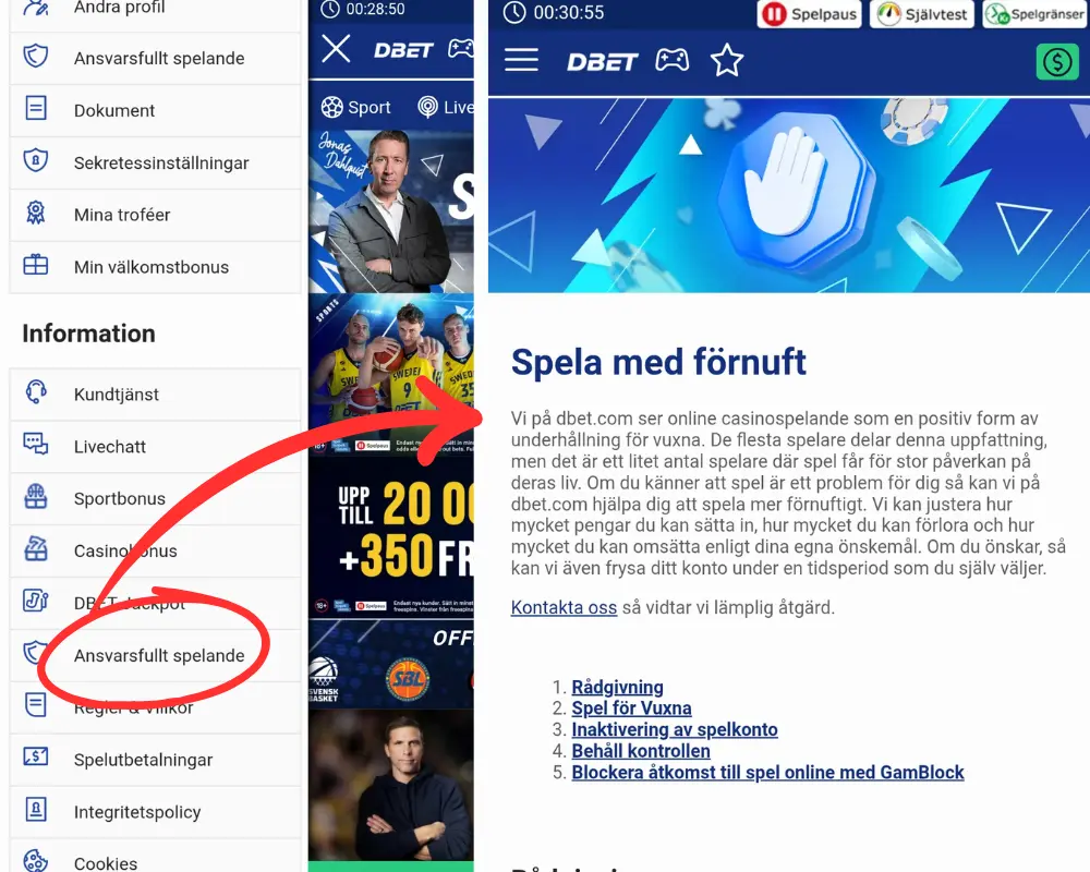 Information om ansvarsfullt spelande hos DBet.