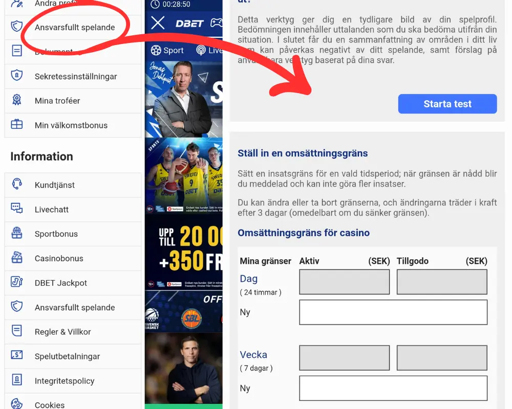 Självtest och spelgränser hos DBet.