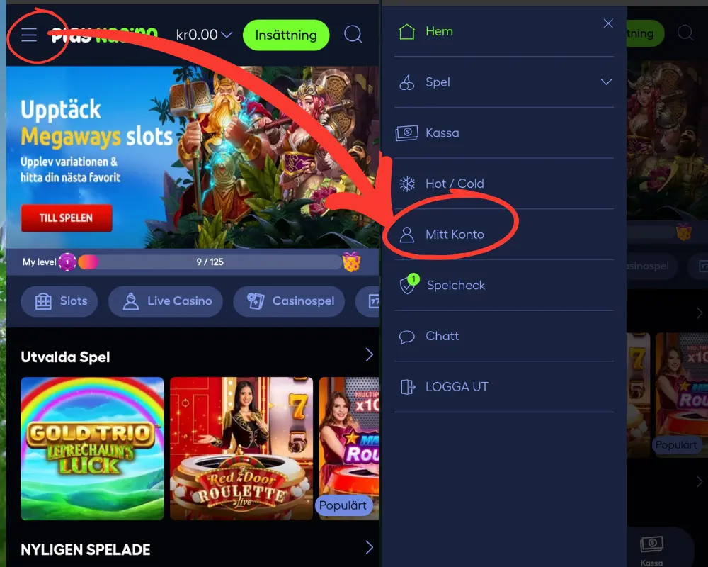 Hur du ändrar gränser hos PlayKasino: gå först till ditt konto