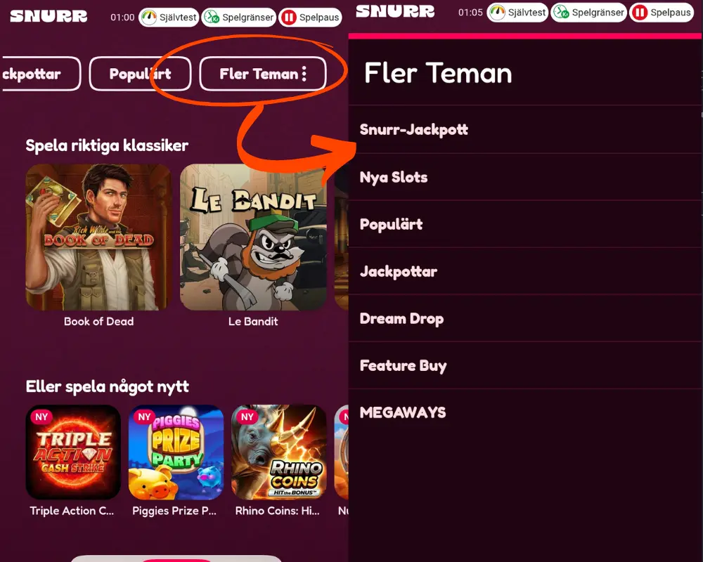 Snurr casino och fler teman av kategorier