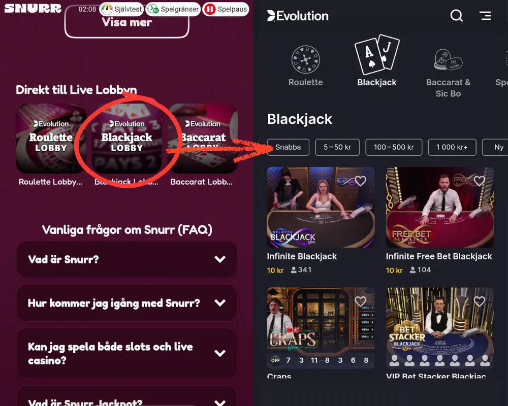 Snurr Casino live casino