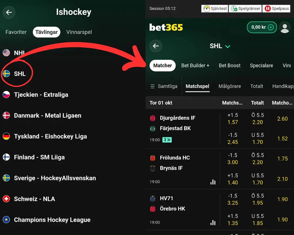 Odds på ishockey och SHL hos Bet365.