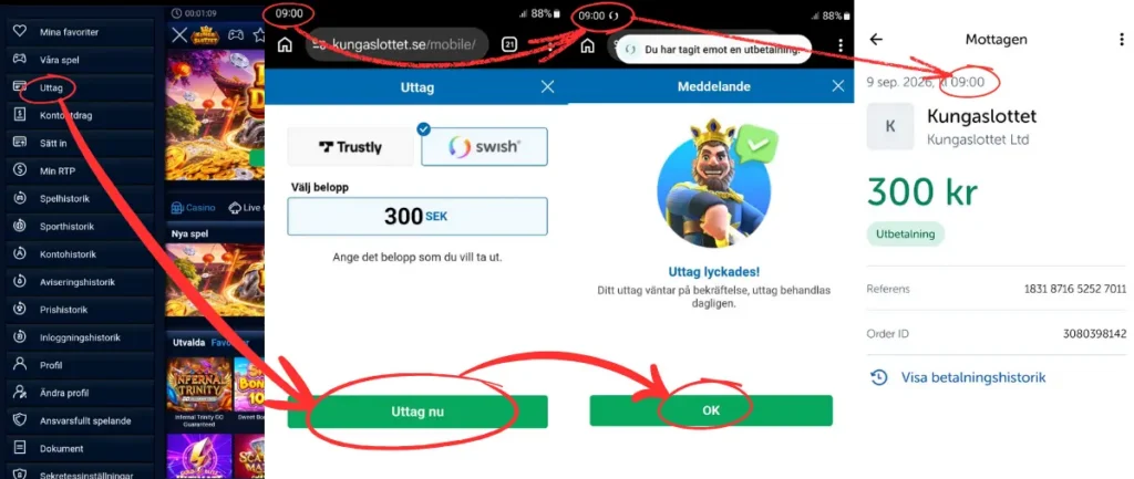 Ett uttag via Swish (2026) som betalades ut direkt från Kungaslottet.