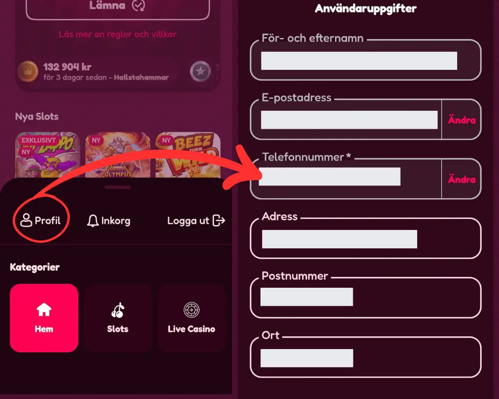 Kontoinformation och personuppgifter hos Snurr.